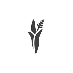 Obraz premium Lavender herb vector icon. filled flat sign for mobile concept and web design. Lavender flower glyph icon. Symbol, logo illustration. Vector graphics