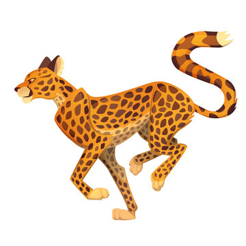 Vector cartoon running cheetah. Big wild cat isolated on white background. Side view zoo illustration of the fastest mammal animal.