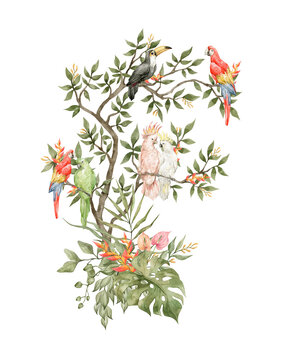 Watercolor compositions with colorful bright parrots on a tree. Eden garden, birds, flowers, tropical leaves. Ara, toucan, cockatoo, in blossom tree.