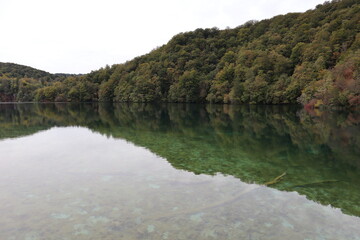Fototapeta na wymiar Autumn landscape lake with smooth transparent water, which reflects the gray sky, hillside and trees with yellow, green foliage, Plitvice Lakes National Park