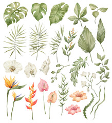 Watercolor set of bright tropical leaves and flowers. Leaves and branches from the jungle. Palm leaf, monstera, grass, orchid, strelitzia, heliconia, anthurium. - obrazy, fototapety, plakaty