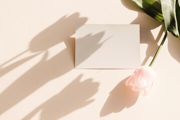 Blank card mockup on light pastel background with moody tulip flowers shadows and copy space, close-up top view.