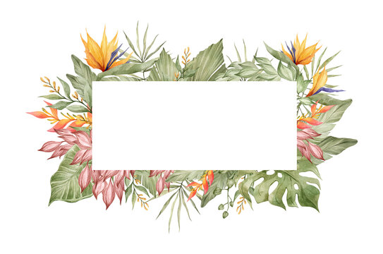 Watercolor floral frame with  bright tropical flower, strelitzia, monstera, palm leaf. Botanical arrangement for wedding invite, greeting, card, logo. Decorative ornament template. Summer floral frame