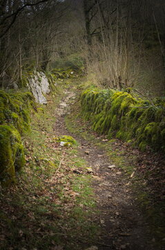 Sendero de monta&ntilde;a bajo el Txindoki