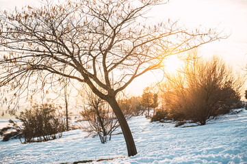 Sunset in snowy winter countryside