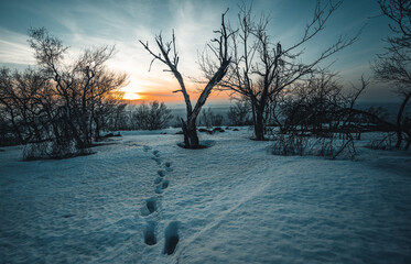 sunset in winter