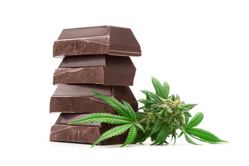 Stack of Dark Chocolate Baking Bar Pieces with Medical Marijuana Bud or Hemp Flower Isolated on White Background