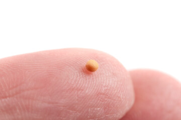 Macro View of a Mustard Seeds on a Fingertip
