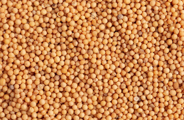 Up Close View of Mustard Seeds