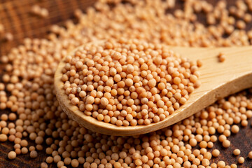 Spoon Full of Mustard Seeds on a Butcher Block