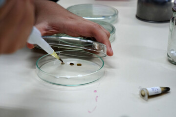 Tests for the ability to inhibit microorganisms or bacteria in petri dishes by Disc diffusion techniques.