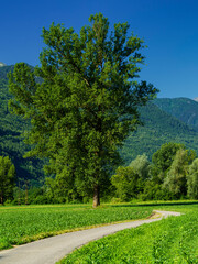 Landscape along the Sentiero della Valtellina, Italy, from the cycleway