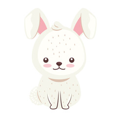 cute lovely , rabbit animal character vector illustration design