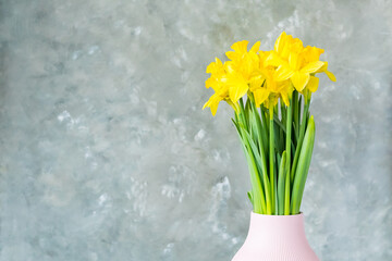 Spring flowers, yellow daffodils in a vase on a grey background. place for text. Easter concept. Copy space. Easter greeting card. 