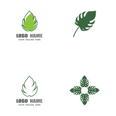 Monstera leaf logo vector design