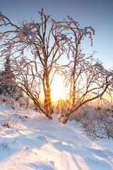 Beautiful winter landscape in the sunset. On a mountain with a forest and a beautiful view in the snow. Cold winter.