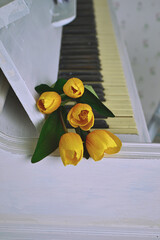 yellow tulips on white piano