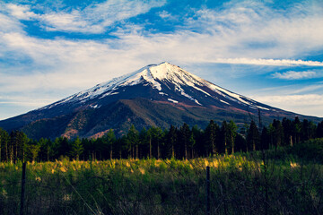 富士山