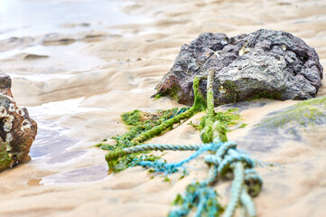 Stone tied with rope covered in seaweed on a beach