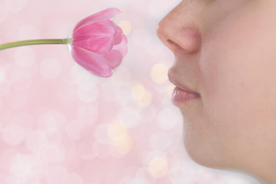 young woman, girl face close up sniffing a flower, one pink tulip, spring pollen allergy concept, mother's day, loss of smell due to coronavirus