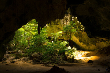 The light shining through trees from top to bottom inside the cave of Phraya Nakhon Cave at Prachuap Khiri Khan, Thailand.