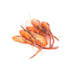shrimps isolated on a white background