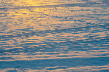 close up white snow in winter at sunset, background