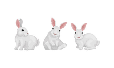 Rabbit as Small Mammal with White Coat in Different Poses Vector Set