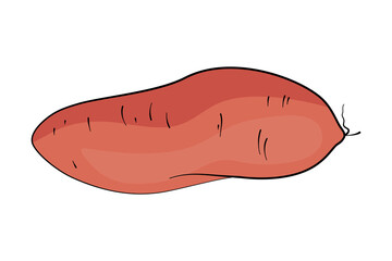 Sweet potato as healthy food cooking ingredient in flat design vector