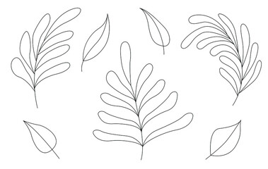 A set of leaves for the design of various illustrations, cards, banners, and different typography. Vector contour images. Black and white illustration 