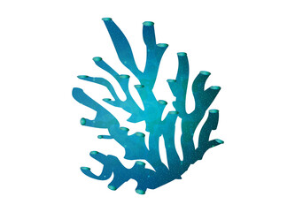 bläuliche Koralle