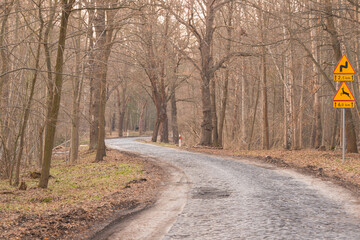 Bazaltowa droga brukowana przez liściasty las.