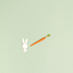 Vaccination concept. Natural organic food, vitamins, good health. Rabbit toy with fresh natural carrot. Flat lay.