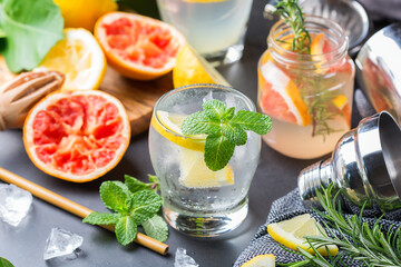 Hard seltzer cocktails with citrus fruits, zero waste bartenders accessories