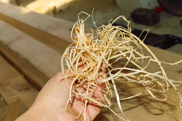 wooden long shavings in hand on the background of wooden boards