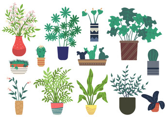 Flowers in vases, floral decor for home flat style flourishing on branches, plant with frondage, tender and elegant design, container interior. Isolated flowerpot with blooming plant . Vector in flat