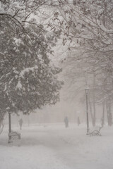 City park in winter with heavy snowfall. Passers people walks down the street in the snow storm in the city.