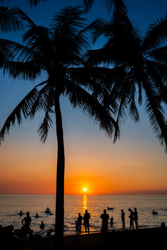 silhouette on people and coconut tree against beach in sunset