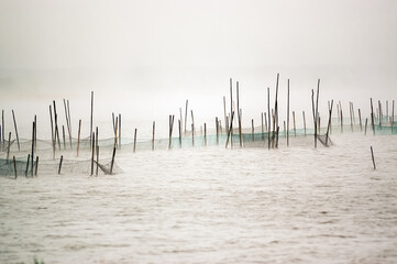 Krajobraz sieci łowne na jeziorze spowitym poranną mgłą - obrazy, fototapety, plakaty
