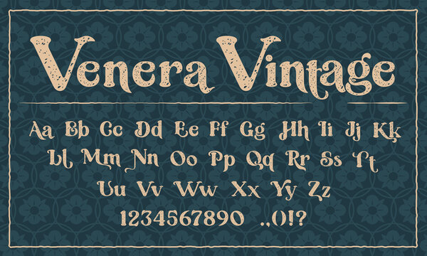 A decorative typeface in the grunge style. Perfect for the brand, of invitations, postcards, printing logos, shops, and many other uses. Vector