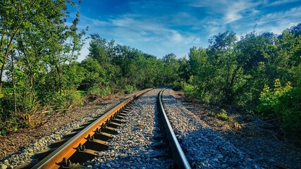 Obraz premium railway in the forest