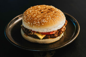 Fresh tasty burger, Fast food 