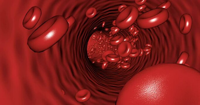 Movement inside a blood vessel among platelets Red blood cells in an artery. Able to loop seamless 4k