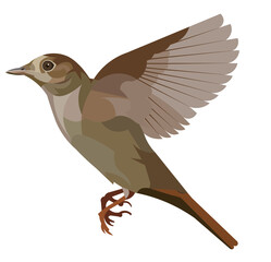 Vector isolated figure of a fluttering flying nightingale