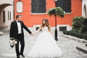 Luxury married wedding couple, bride and groom posing in old city