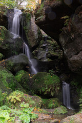Fototapeta na wymiar Lichtenhainer Wasserfall waterfall