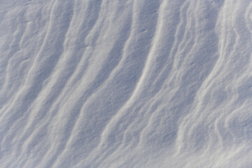 Snow surface wavy texture. Snowdrift. Snow dunes.