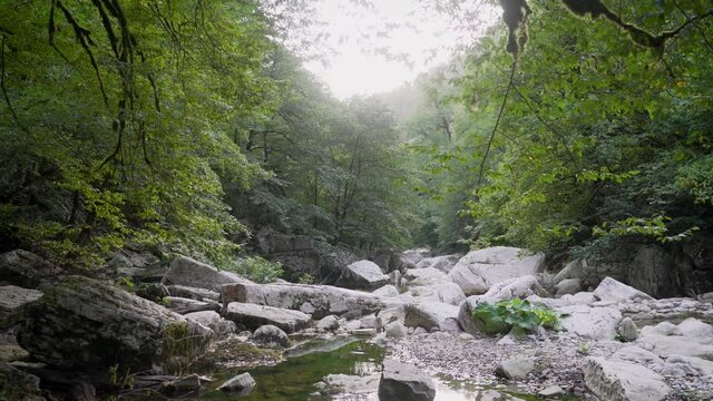 Waterfall in a crevice between the rocks behind the trees. Canyons of the Khosta river. White Rocks Canyon. Sochi.Russia. White Rocks in Sochi. white rocks in Sochi.