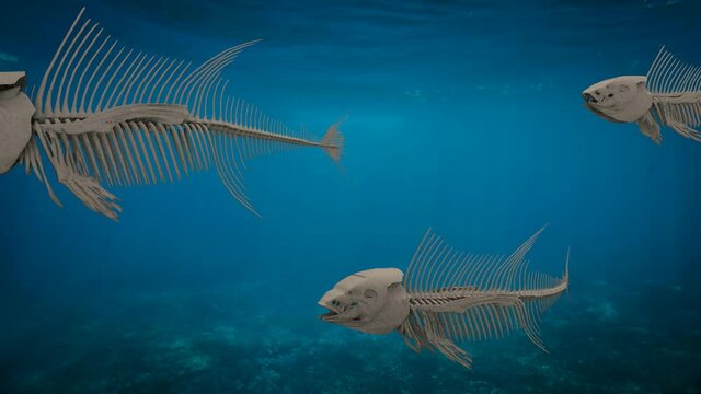 three fish skeletons swimming under the sea, 3d animation