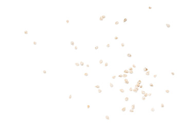 group of tomato seeds isolated on white background. tomato sowing cut out